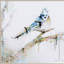 Ensemble de 4 décorations murales