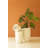 SET OF THREE STONE COMPOSITE PLANTERS
