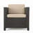 Outdoor Wicker Rattan Club Chair-346221669-346221723