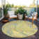 Machine Washable Indoor/Outdoor Chayden ACN1038 Beige Rug