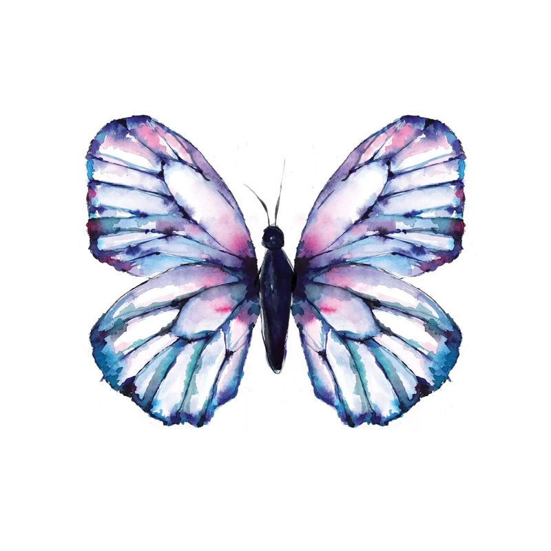 Butterfly Iridescent by Sara Berrenson - Print on Canvas, 66.04 cm H x 66.04 cm W x 1.91 cm D, Wrapped Canvas