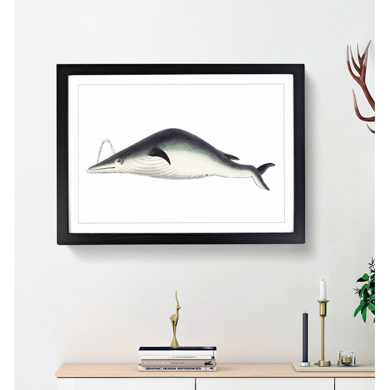 Whale by George Shaw - Framed Print, 27cm H x 36cm W x 2cm D, Black Framed