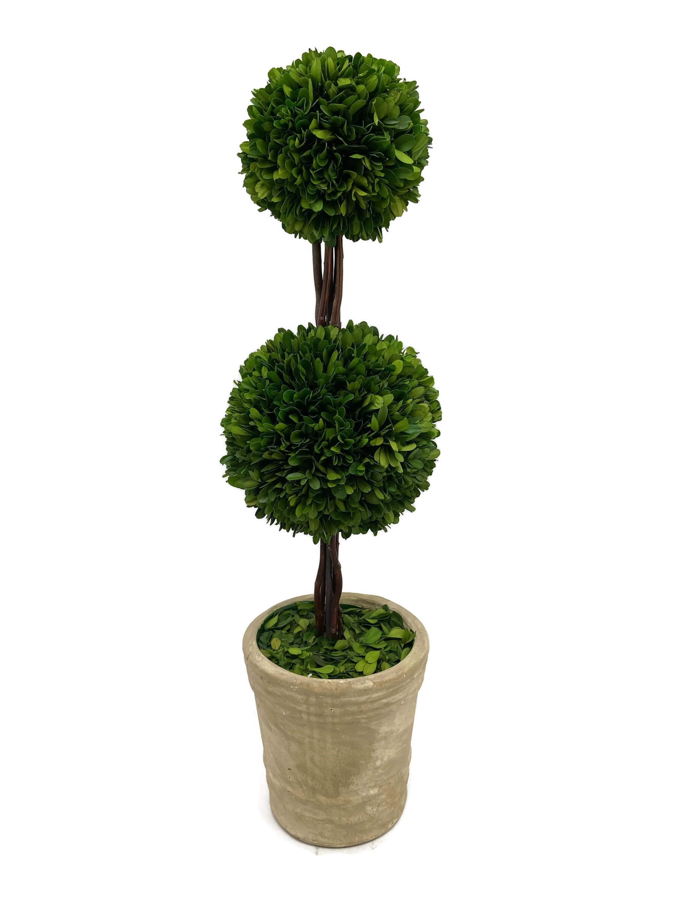 Pure Garden Artificial Podocarpus 36 Double Ball Faux Plant