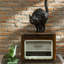Hissing Cat Statue