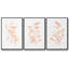 Blush Olive Anch I - ensemble de 3 reproductions de photos sur toile-97757248-97757243