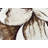 Burbach Floral Indoor Rug-1264704860