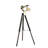 Orphia Brass Floor Lamp