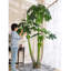 Super grand arbre artificiel melon artificiel plante verte