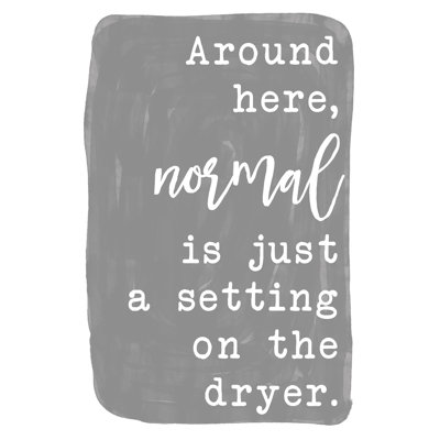 Normal Is for Dryers 1 Piece Wrapped Canvas Wall Art