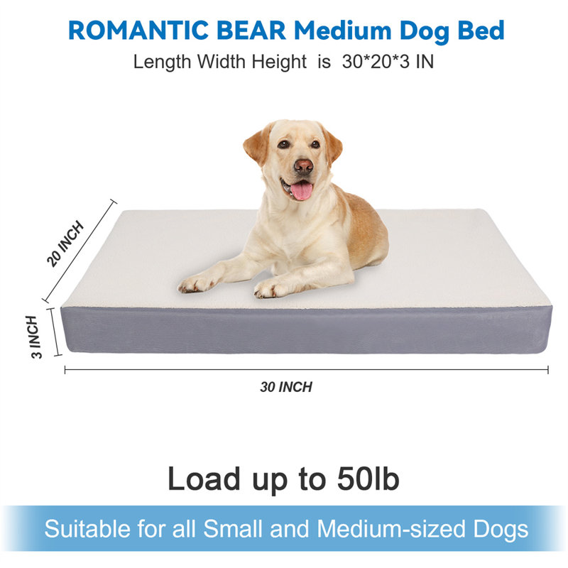 Lit pour chien Carolee