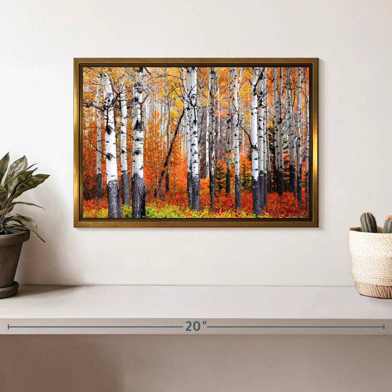 Forêt de trembles de Banff, Cadre flottant doré, 13 po x 9 po