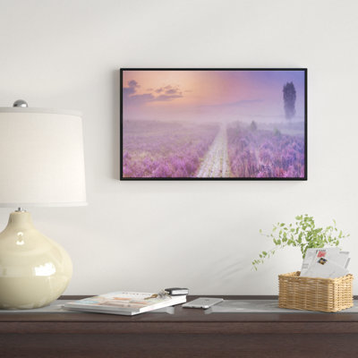 " Path Through Blooming Field "
