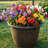 Anjelica Polyresin Large Round Outdoor Planter - 20" - Rust-1092639351-1092639357