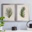 Palm Botanical I - ensemble de 2 photographies sur toile-1425392431-1350425249-1425392426