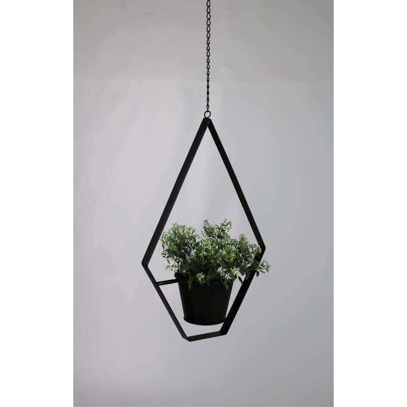 Aminta Metal Hanging Planter
