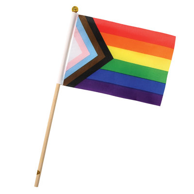 Pkgd Pride Flags - 4" x 6" - Pack of 6