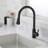 Red Cloud Pull Down Kitchen Faucet