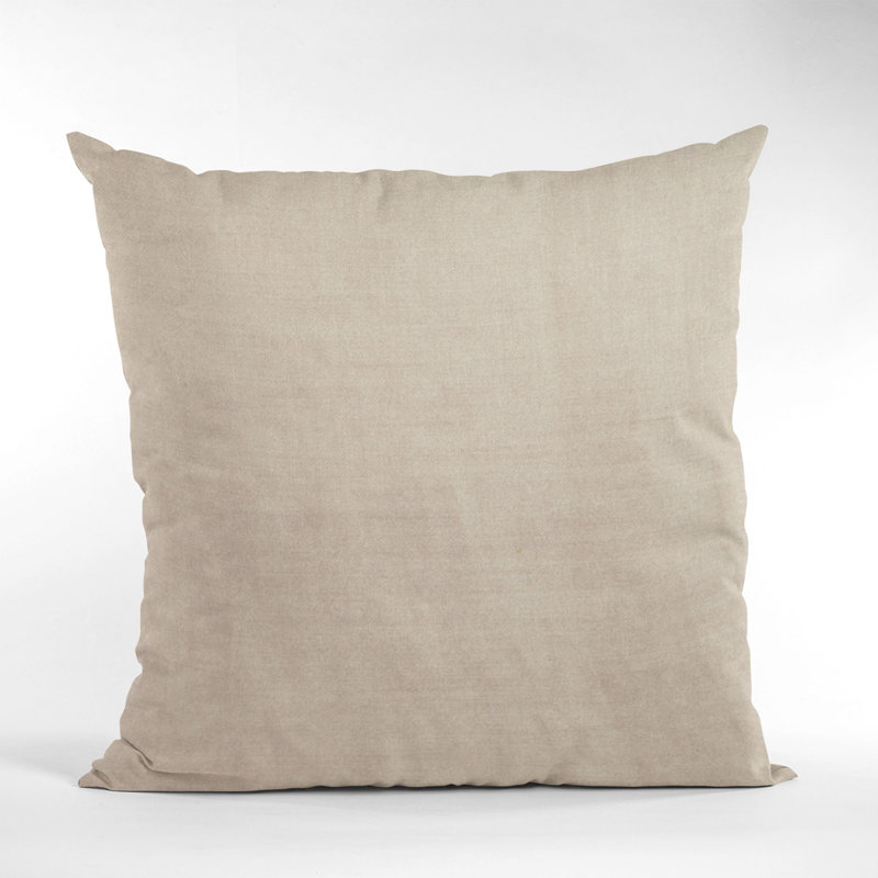 Coussin Plutus, Rougir, 20 po x 20 po