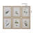 Botanical Study' - 6 Piece Picture Frame Graphic Art Print Set on Paper
