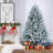 Spruce Christmas Tree-1117834404