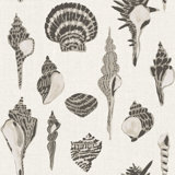 Sullivan’s Island Shells Serene Sky Wallpaper by Megan Molten