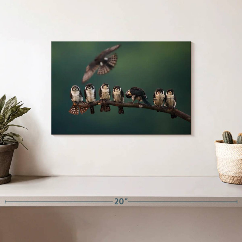 Perched Falconet Birds, 8" H x 12" W