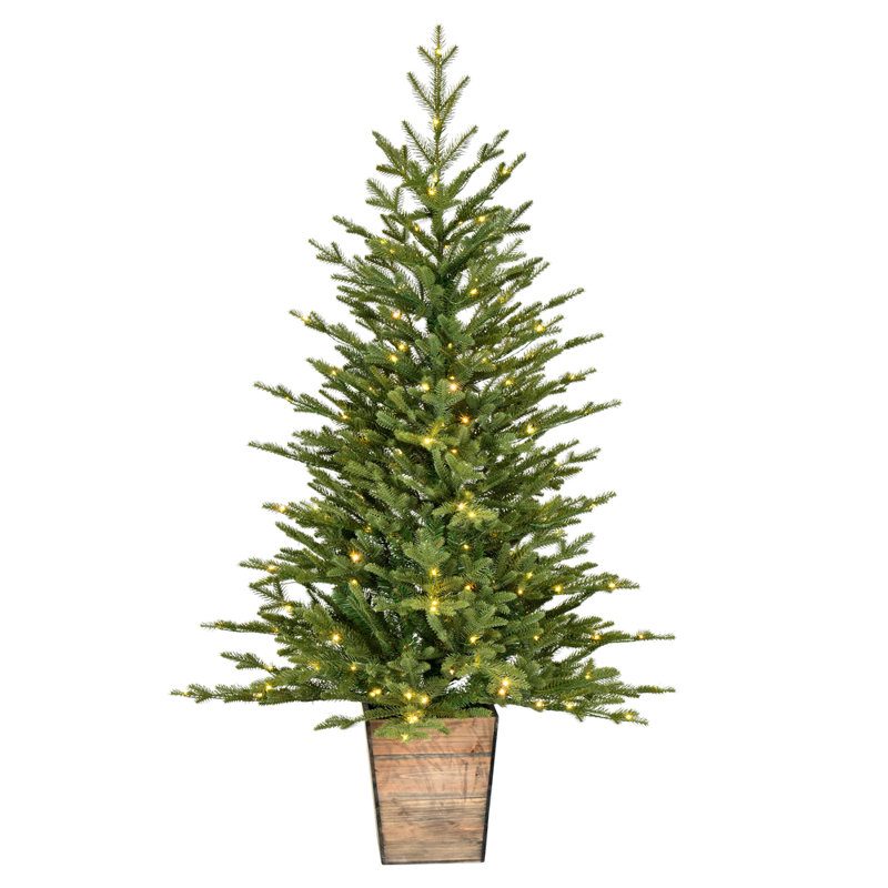4' H Lighted Artificial Pine Christmas Tree