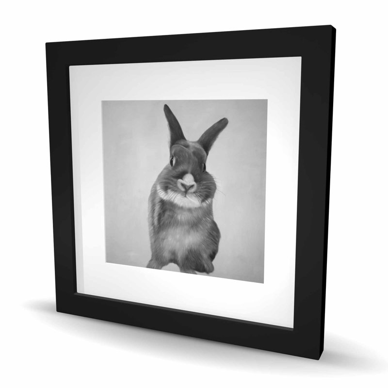 Drôle de lapin gris - décor hyperréaliste encadré, H 16 po x l 16 po