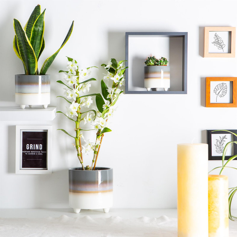 Ceramic Pot Planter, Grey