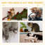 Savoy 100cm H Cat Tree