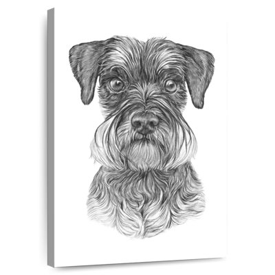Brampt Schnauzer