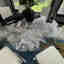Photos des clients 1 de 2