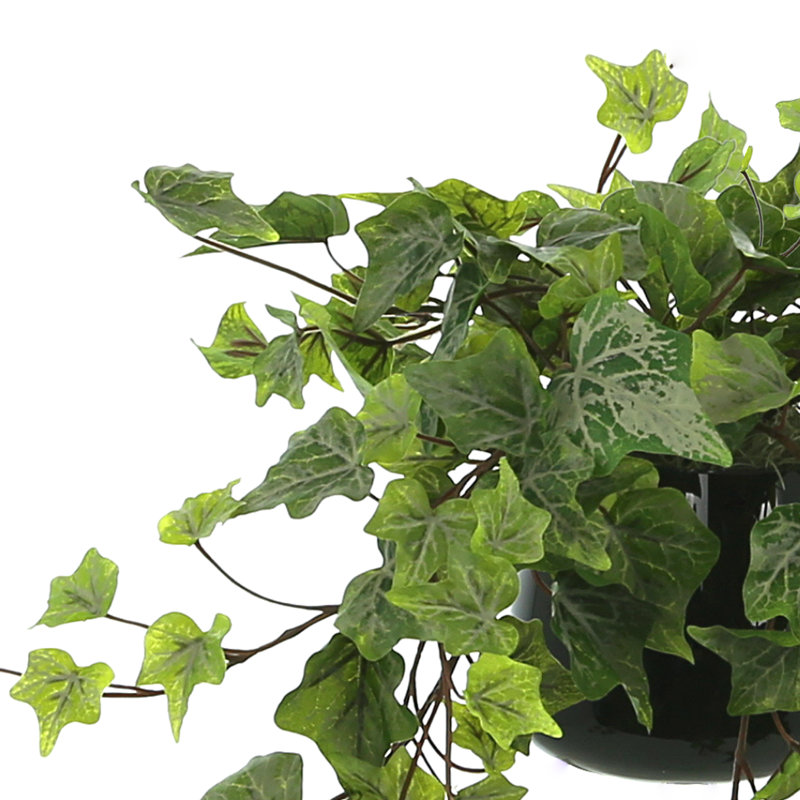 Jenner Faux Ivy Plant in Glass Vase, 15" H x 20" W x 20" D