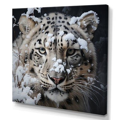 Tigre blanc en hiver IV - impression