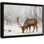 «Black Bucks in the Snow», reproduction d'art encadrée noire-1574269285