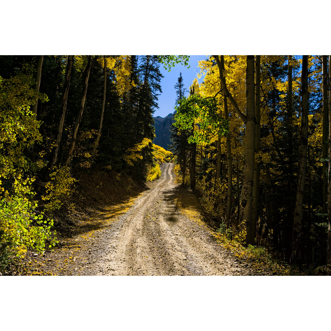 Dirt Road Fall by Adventure_Photo - Drucken