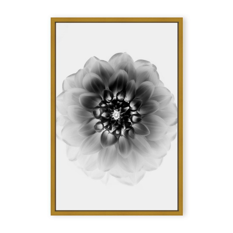 X-Ray Print by Alex Zhao, 24" H x 16" W x 1.125" D, Black, Framed Matted Print
