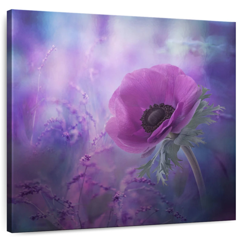 Harnek Purple Ecstasy
