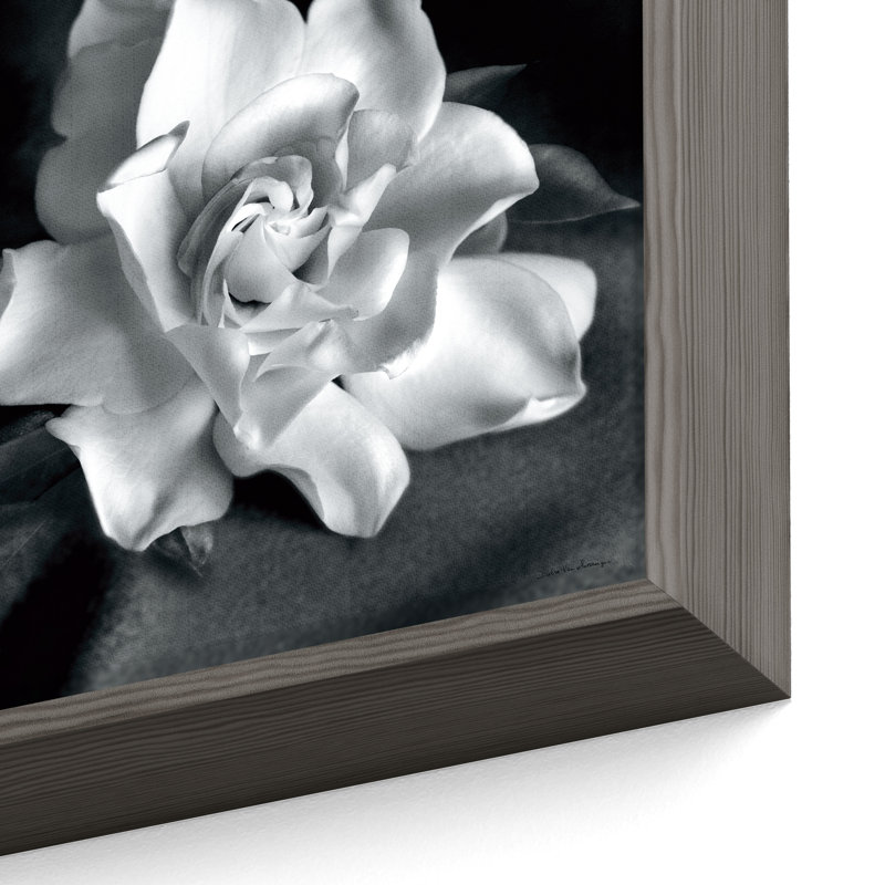 "Gardenia" par Debra VanS vêtementsingen, photographie de fleur sur toile tendue, H 14 po x l 14 po x P 2 po, Gris