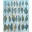 Indigo Leaflet Print by Beverly Fuller-26676119-26676117