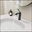Robinet de lavabo à poignée simple noir mat-119318223