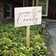 Rosalind Wheeler Maughan Wood Garden Sign | Wayfair
