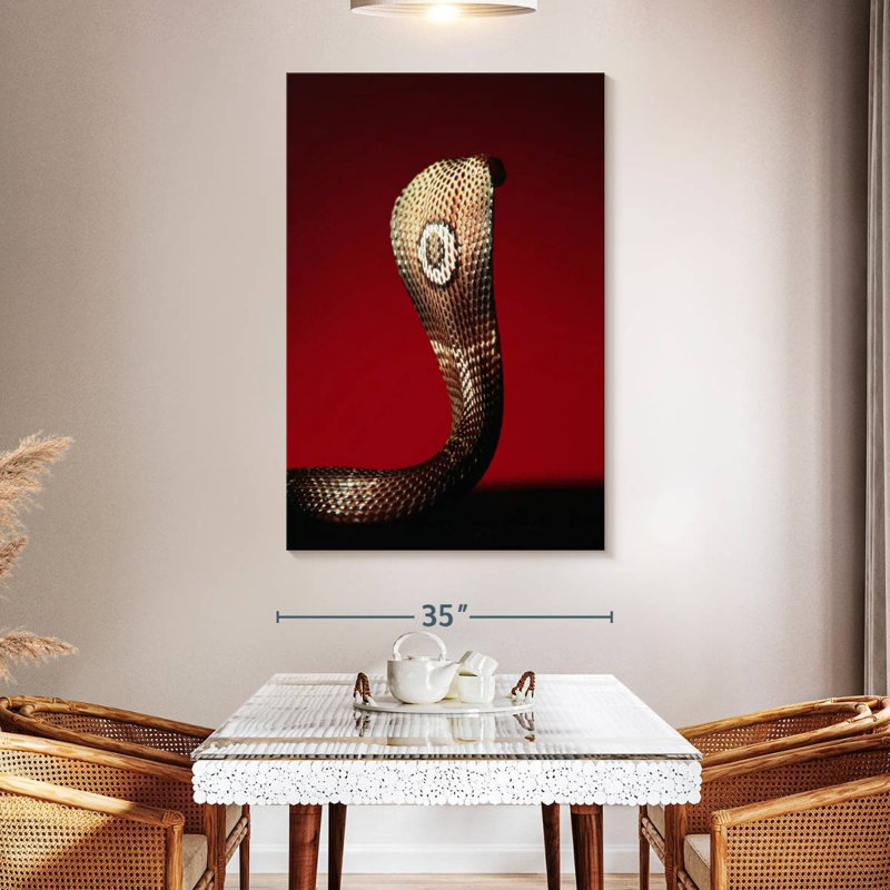 Brampt Cobra, 51" H x 34" W