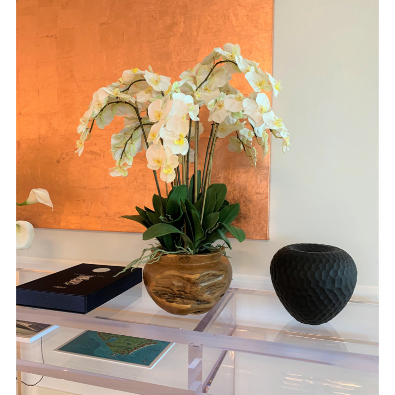 Orchid Floral Arrangement in Planter