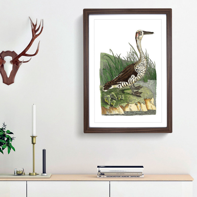 Fasciated Duck by George Shaw - Picture Frame Painting Print, Walnut Framed, 48cm H x 36cm W x 2cm D