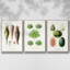 Ensemble de 3 pièces encadrées sur toile fruits et légumes VI-97795744-97795751