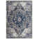 Oriental Indoor Rug