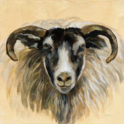 " Highland Animal Ram " Painting Print