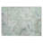 Machine Washable Indoor/Outdoor Chantille ACN2748 Paisley Rug-1992006193-1992006192