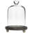 Mini Glass Dome Display Cloche